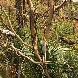 Meet your Posher, Jillian